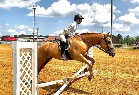 Horse Riding Competitions