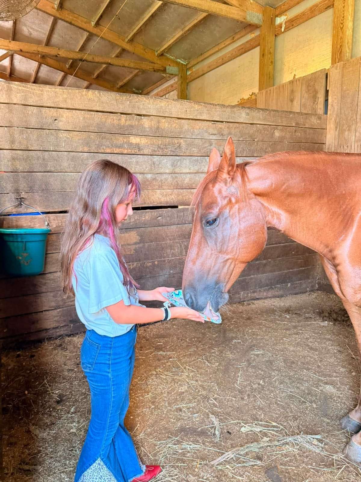 Camper giving a treat to a chestnut horse