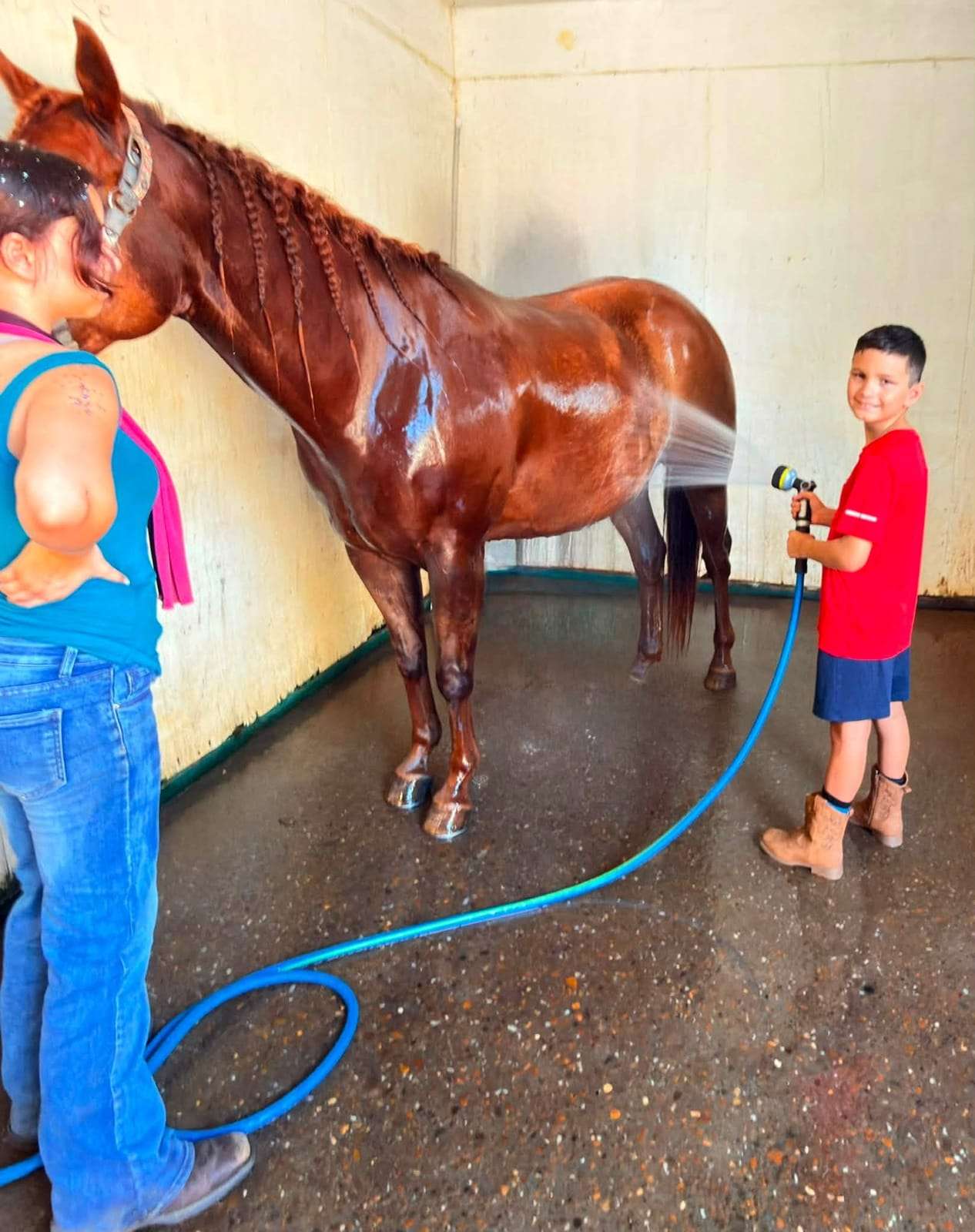 Campers giving a horse a bath