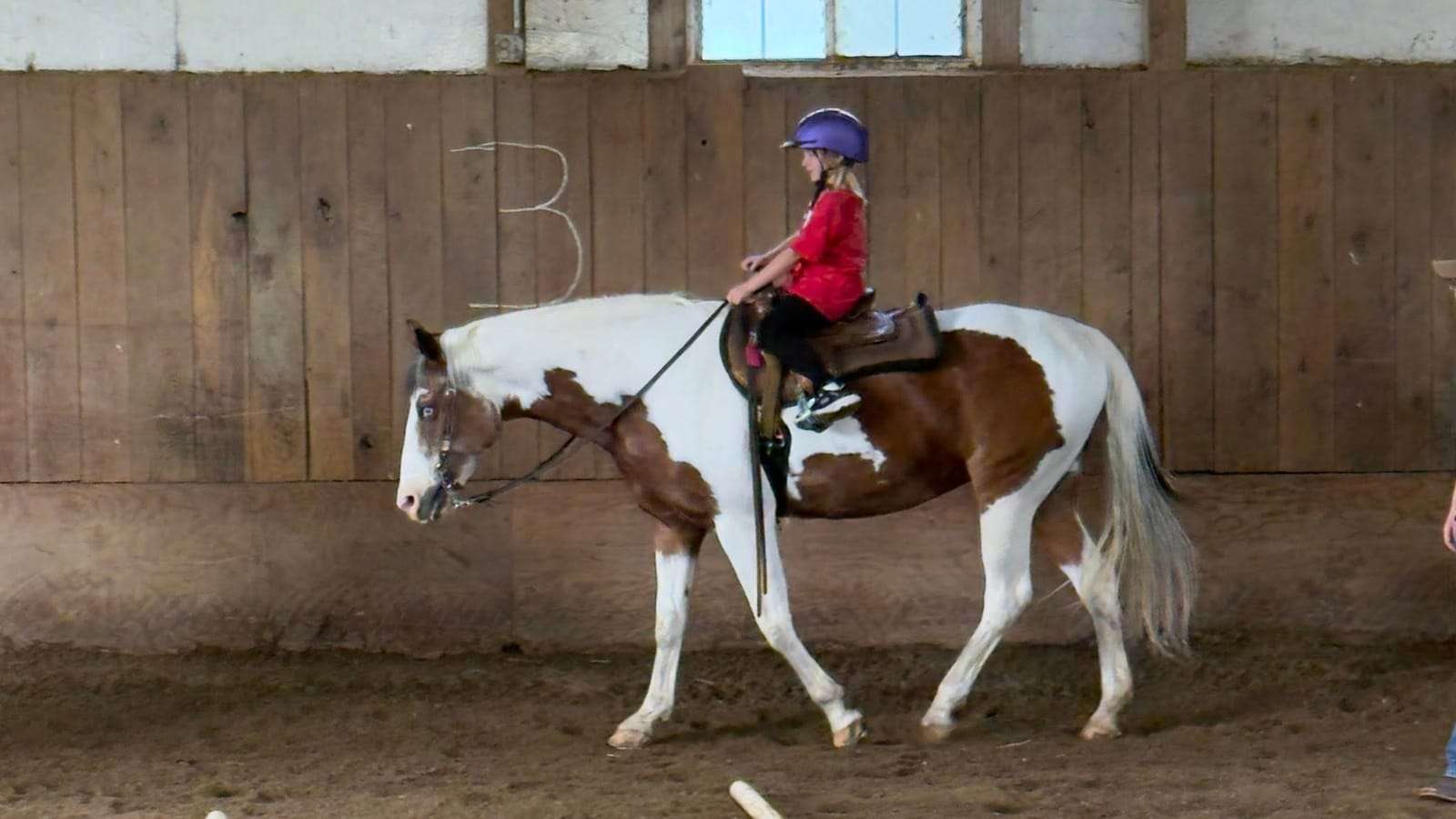 Camper riding a paint horse in the arena