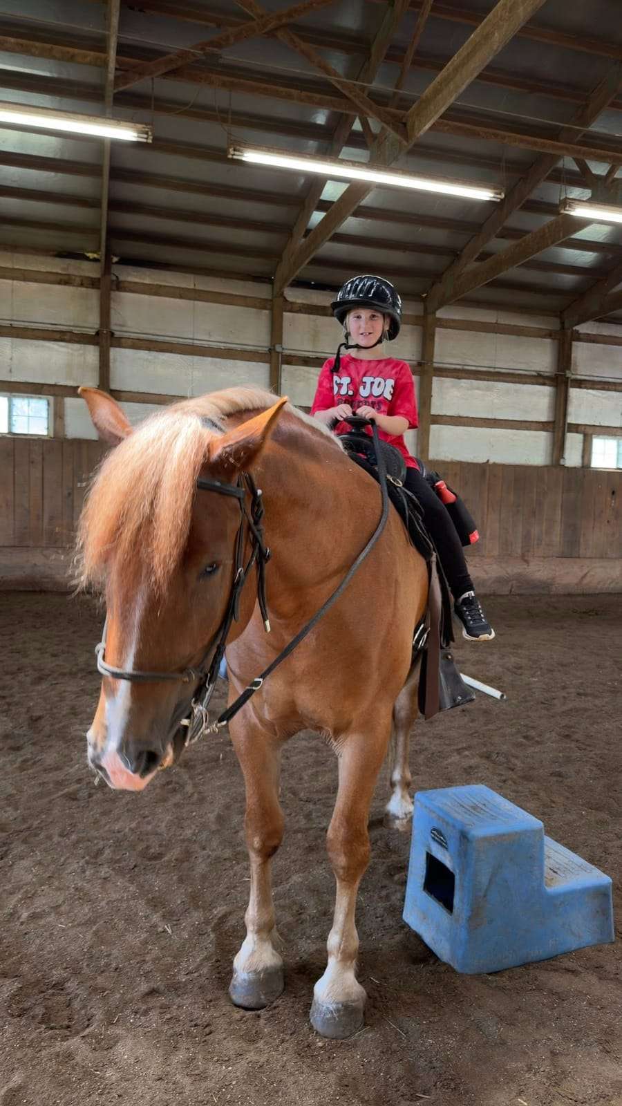 Camper riding a chestnut horse