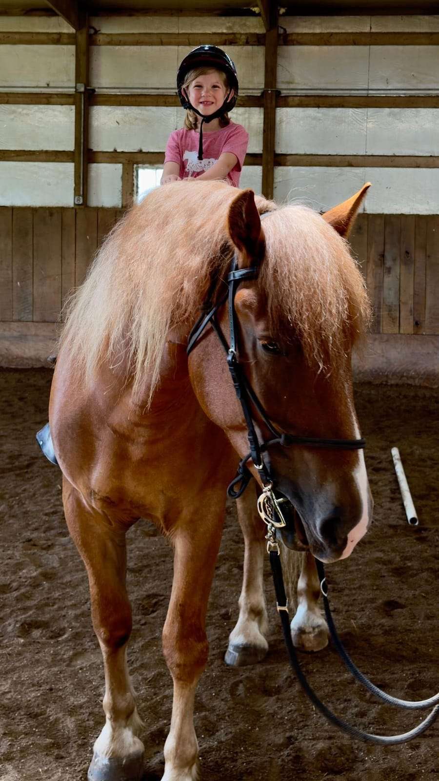 Smiling camper riding a horse in the indoor arena