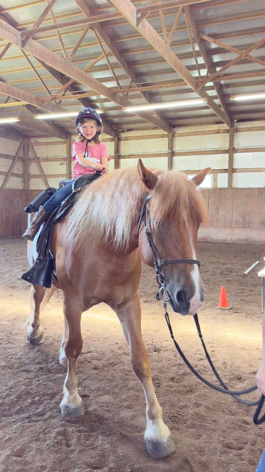 Camper riding a palomino horse