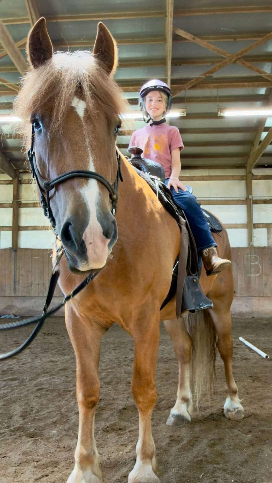 Camper posing on a flaxen-maned horse
