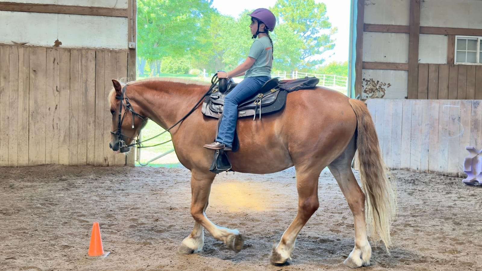 Camper riding a chestnut horse near a cone