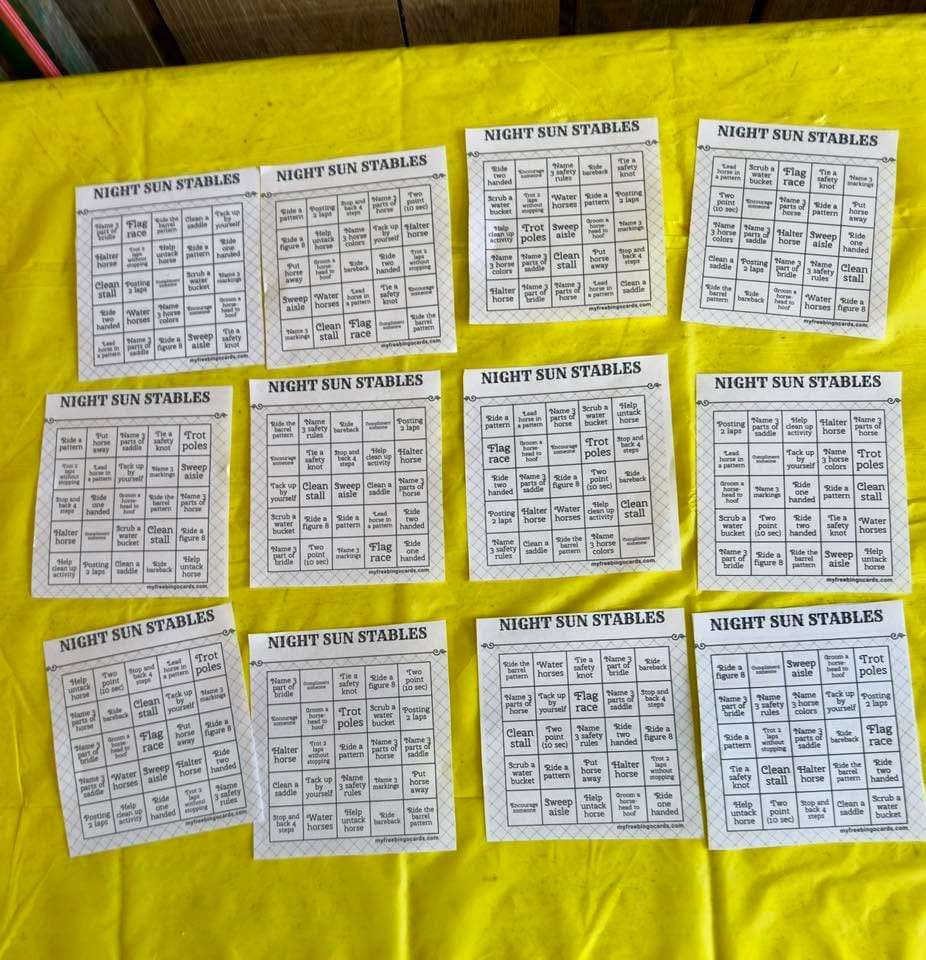 Night Sun Stables camp activity cards laid out on a table
