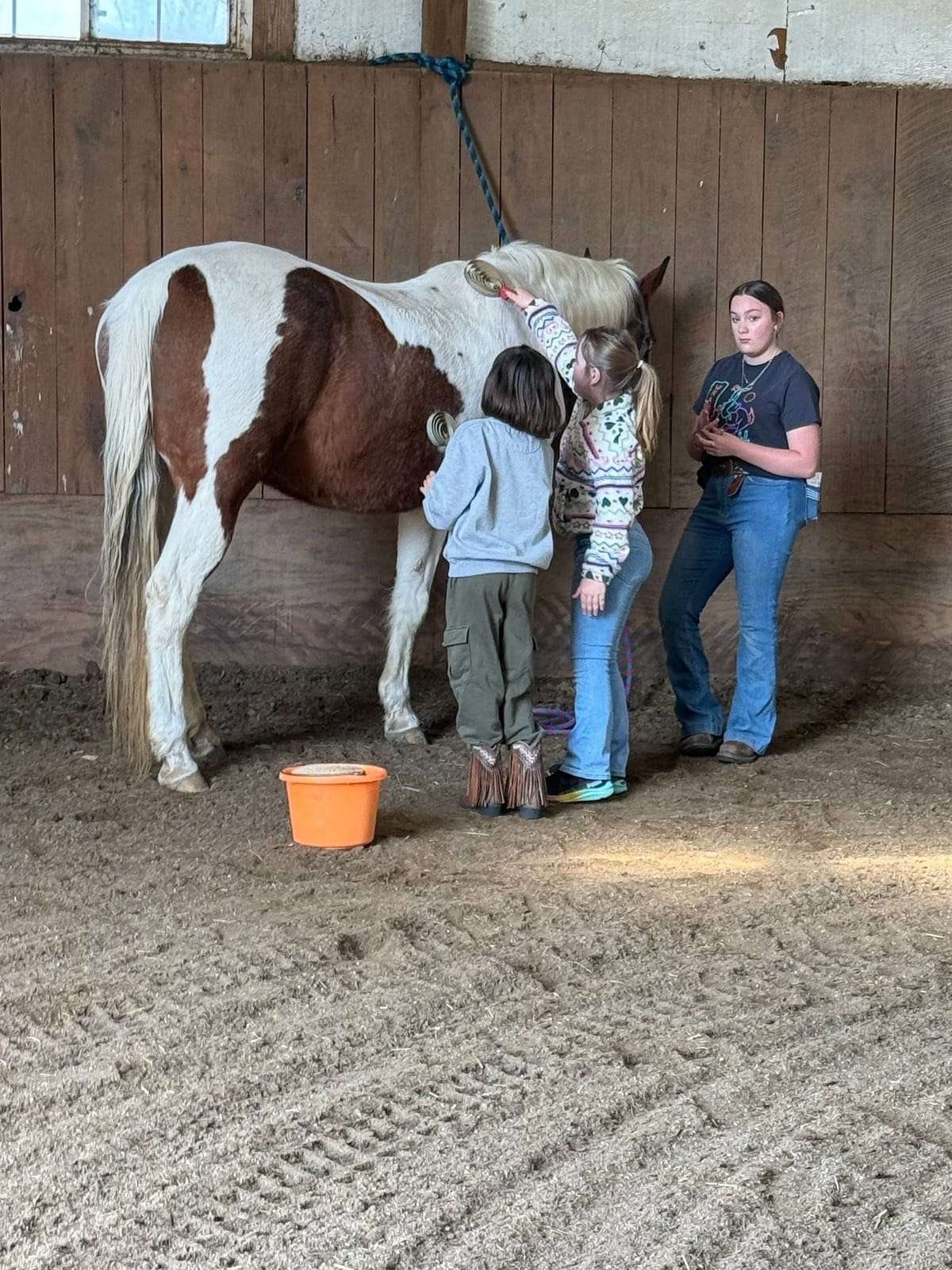 An instructor teaches a student to groom a paint horse