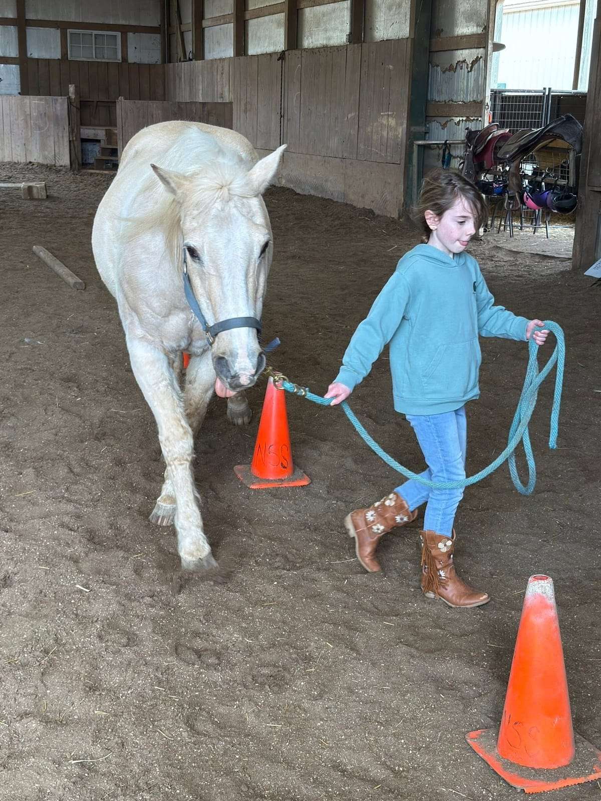 Camper leading a horse through a cone obstacle course