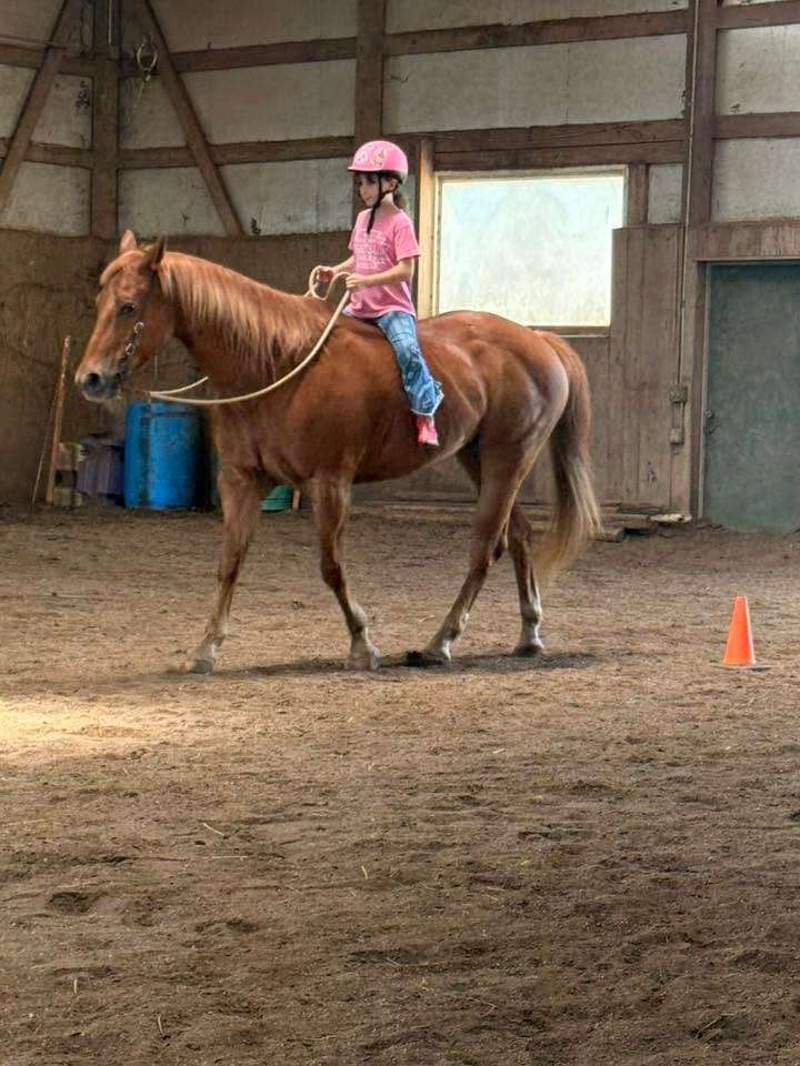 A young camper in a pink helmet riding a chestnut horse