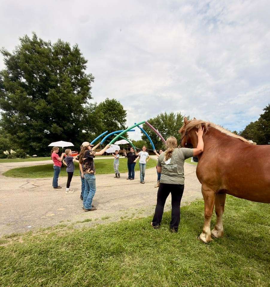 Youth Horse Camps for All Ages and Experience Levels