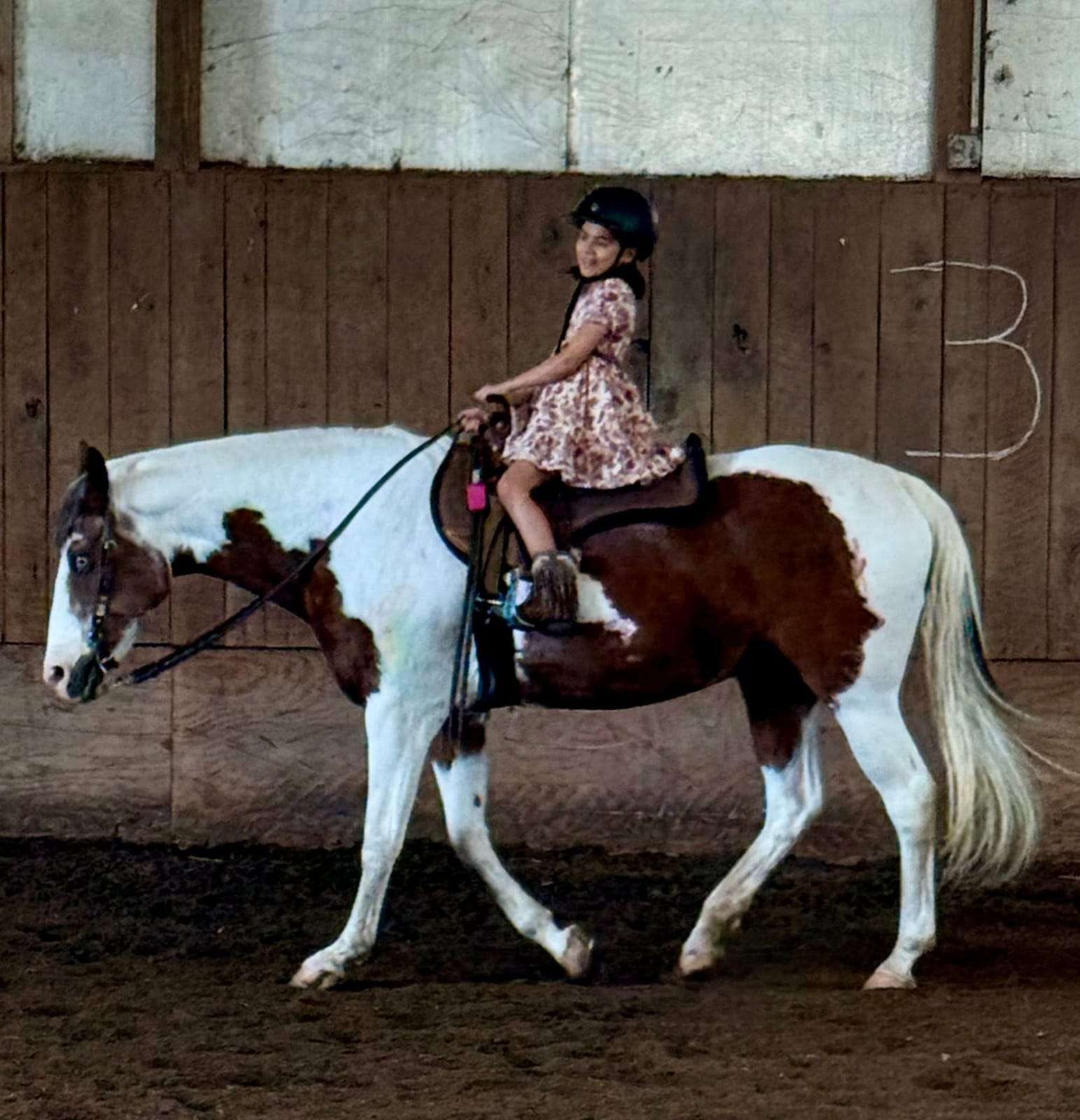 Camper riding a paint horse in the arena