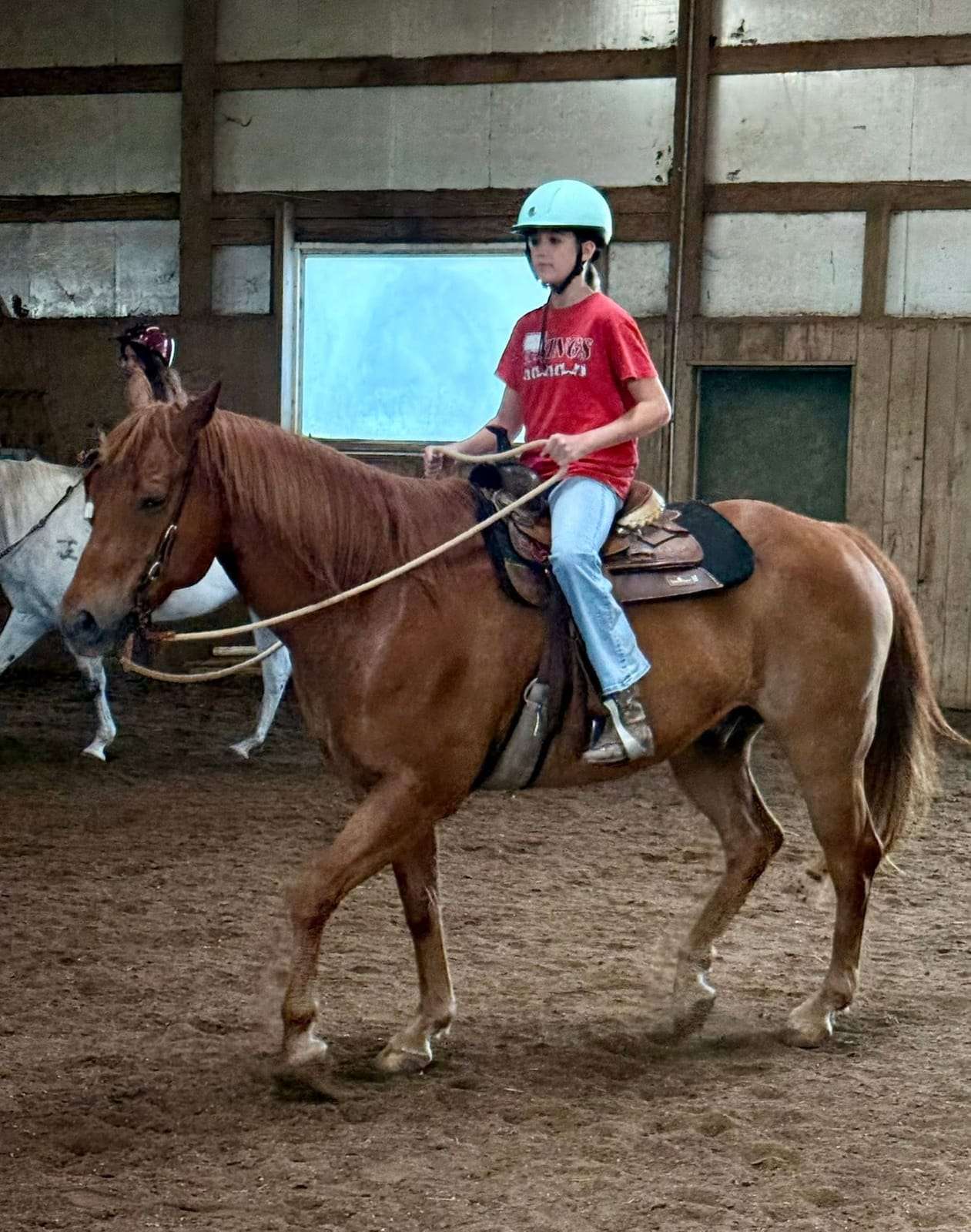 Camper riding a chestnut horse in the arena