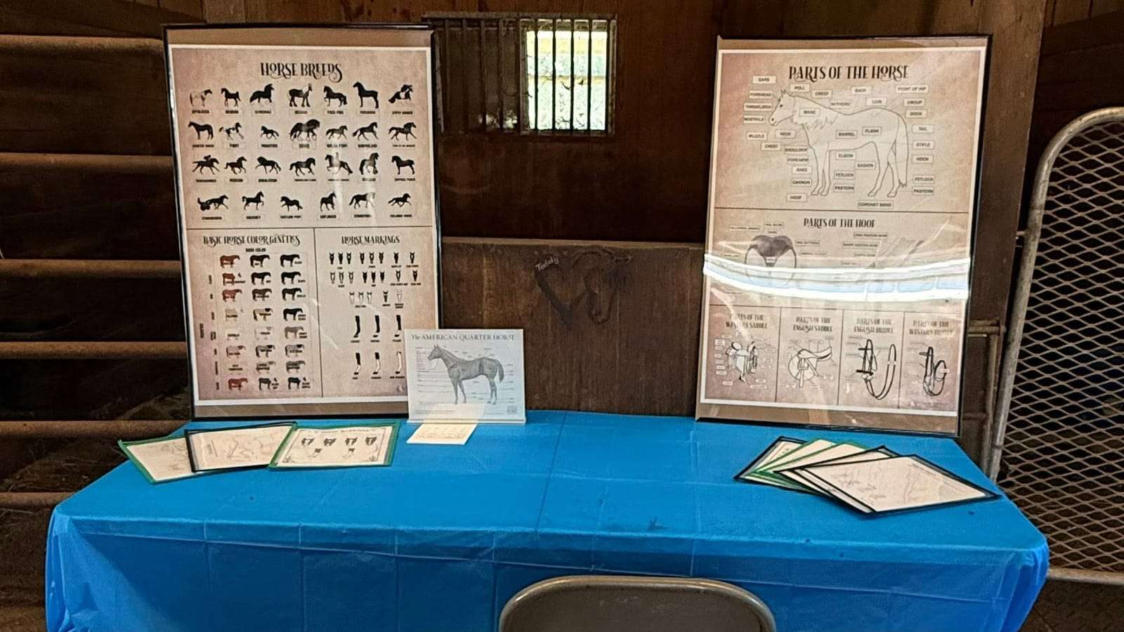 Parts-of-the-horse learning station at camp