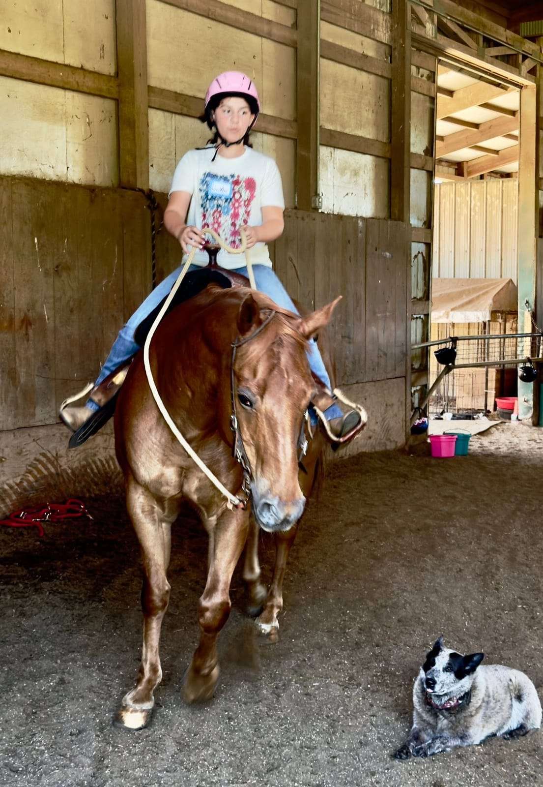 Camper riding a chestnut horse with the barn dog nearby