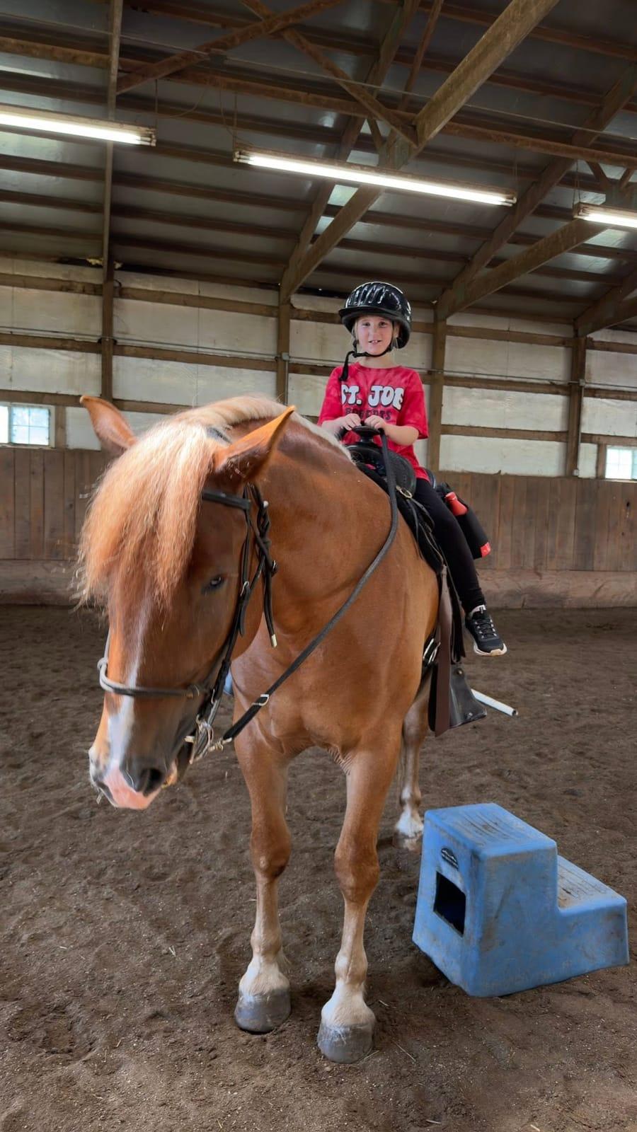 Camper riding a chestnut horse