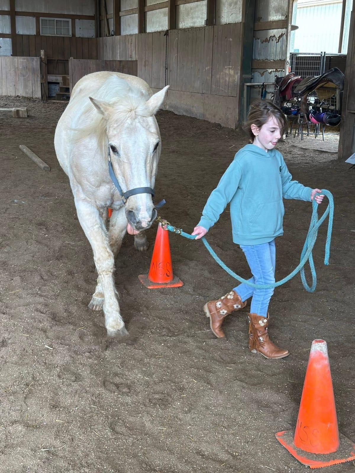 Camper leading a white horse through a cone course