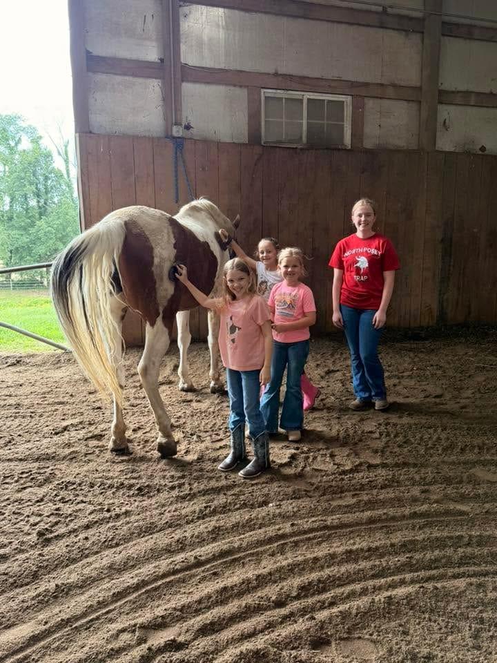 Campers standing with a paint horse in the arena at summer camp