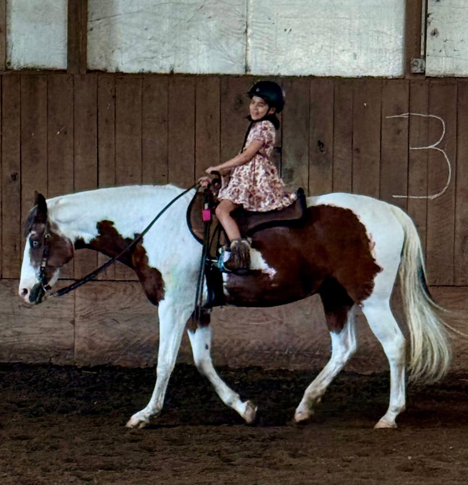 Camper riding a paint horse in the arena