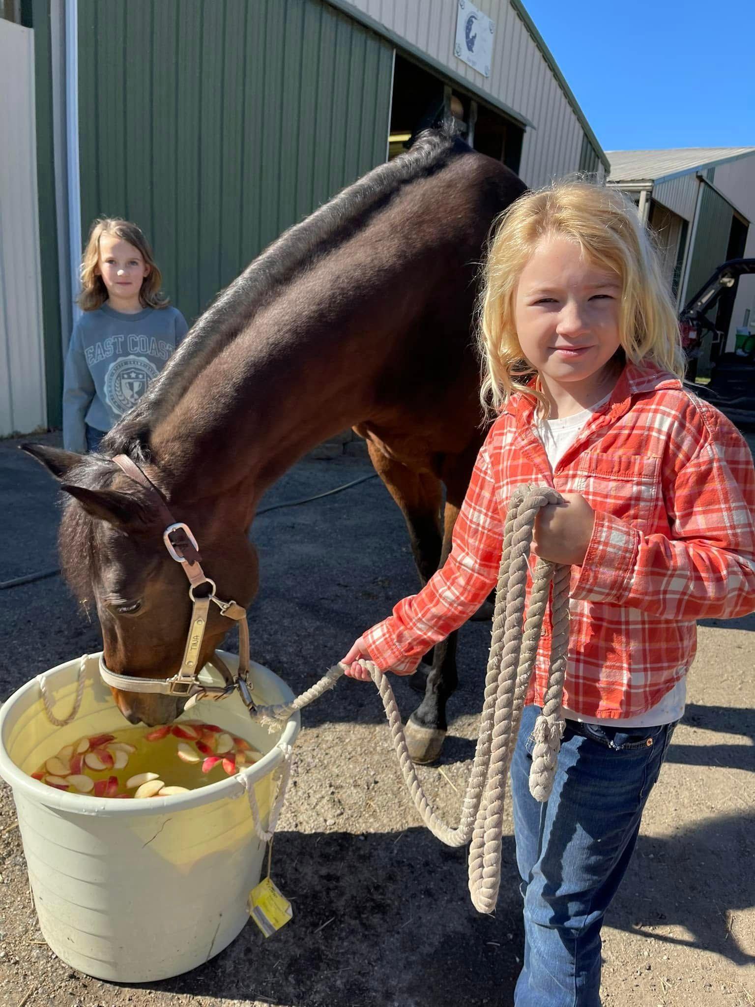 Fall Camp feeding horses