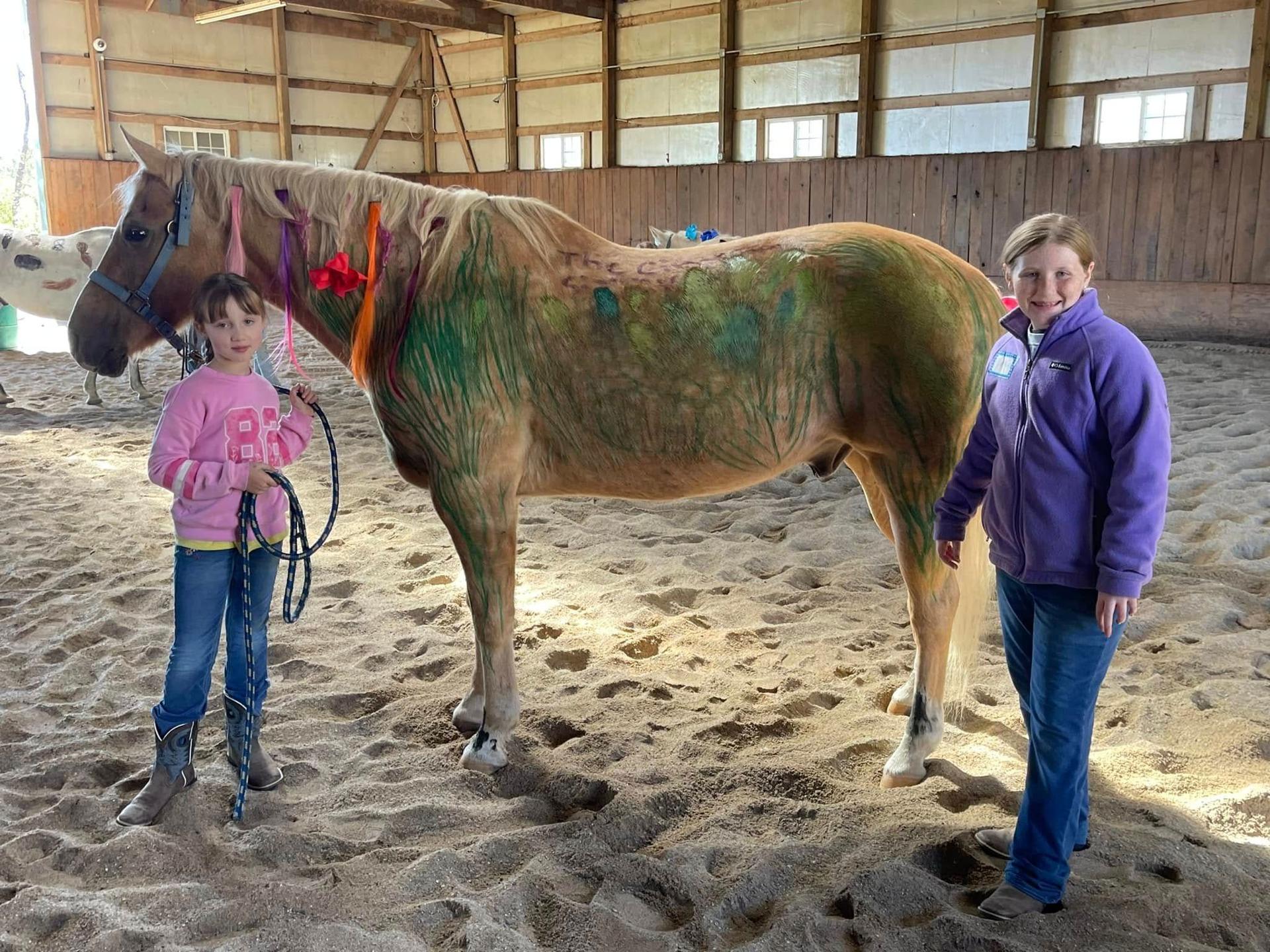 Fall Camp Horse Painting Sessions